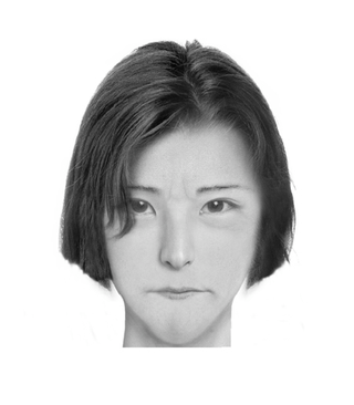 Illustration for article titled Police composite software makes realistic portraits of literary characters